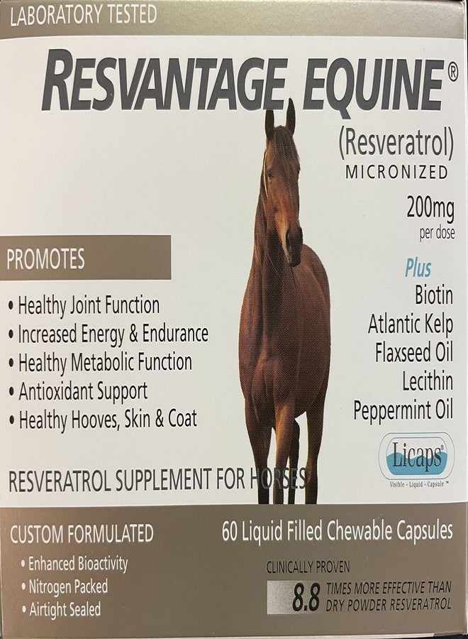 Resvantage Equine Supplement 60 chewable resveratrol Liquid Filled Capsules for Horses - Image 1
